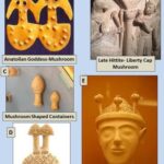 Archeological-evidence-of-opium-and-magic-mushrooms-from-the-ancient-Anatolian-cultures_Q320