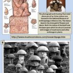 The-archeological-evidence-about-the-consumption-of-magic-mushrooms-in-Maya-and-Aztec